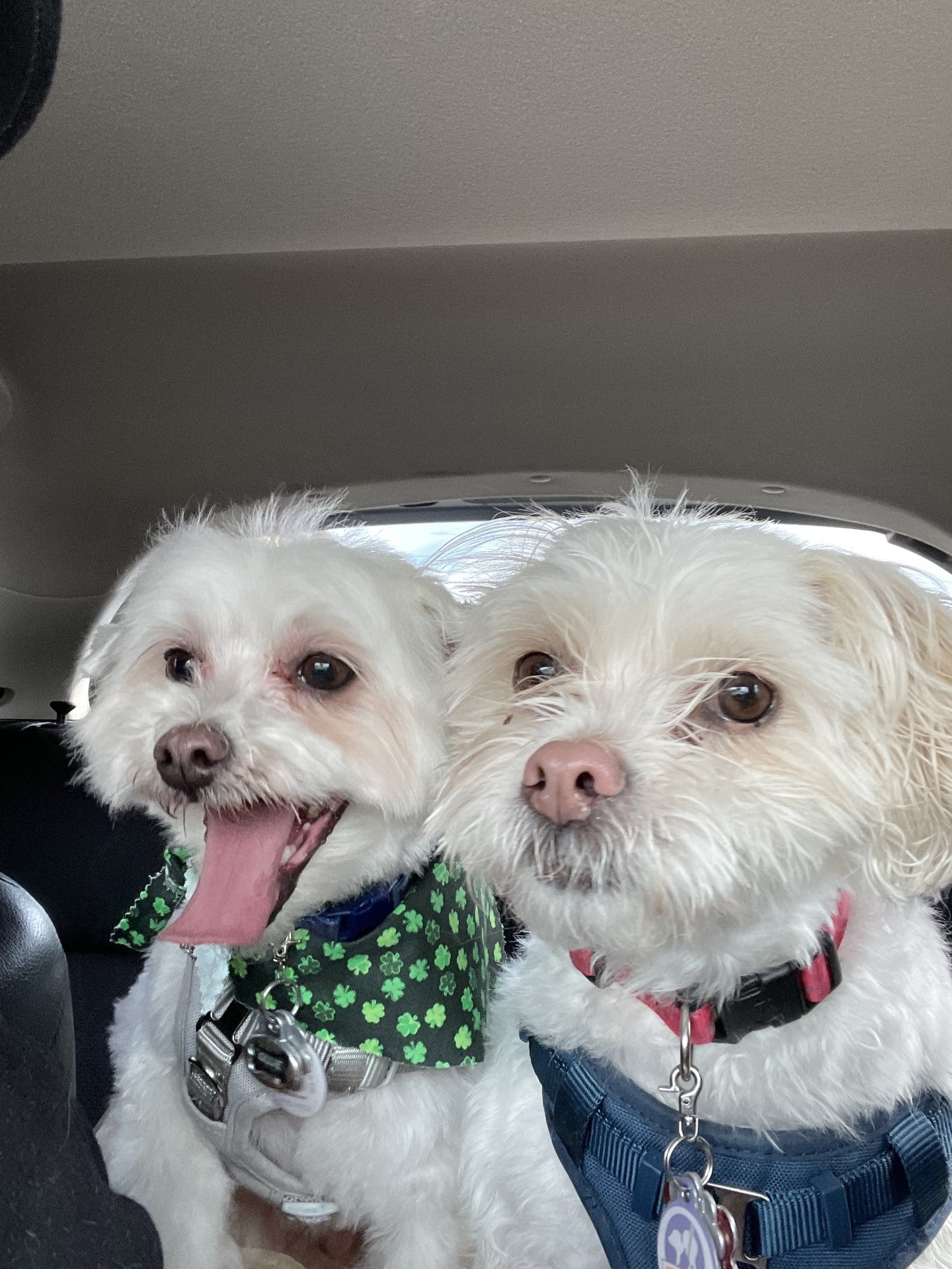 Custom 3D Printed Greyscale Art